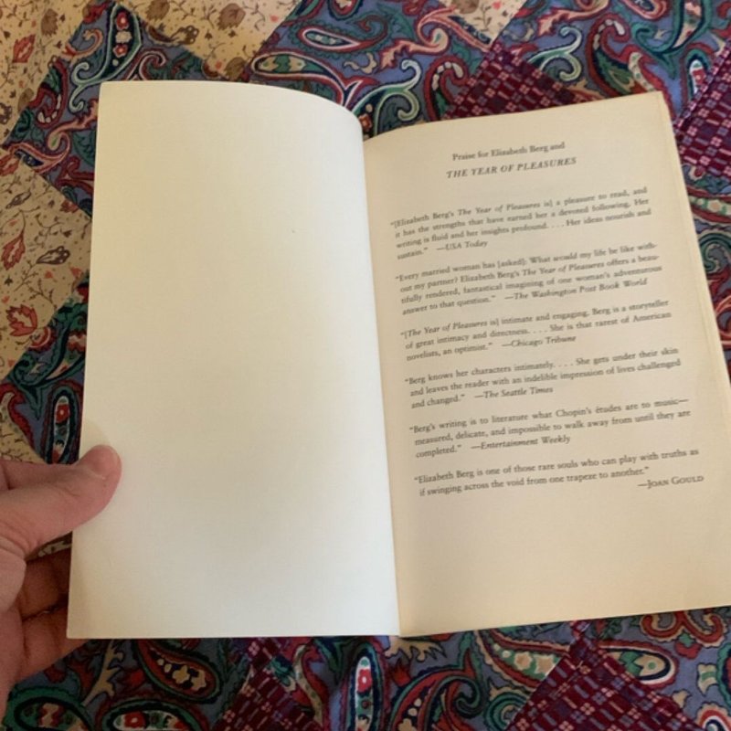 The Year of Pleasures