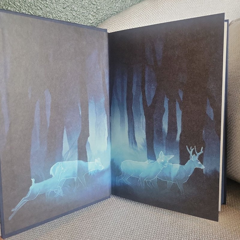 The Luminaries (Owlcrate)