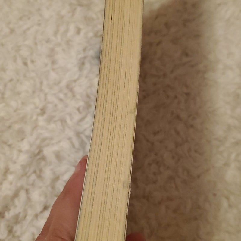 Sword Art Online 2: Aincrad (light Novel)