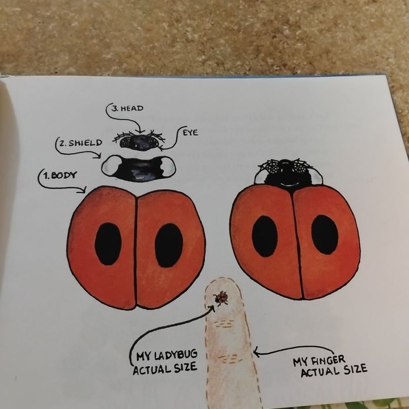 Ladybug, ladybug,  fly away home