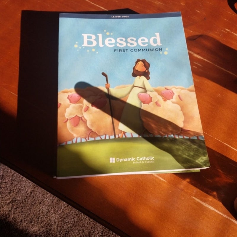 Dynamic Catholic Blessed Books Leader Guides