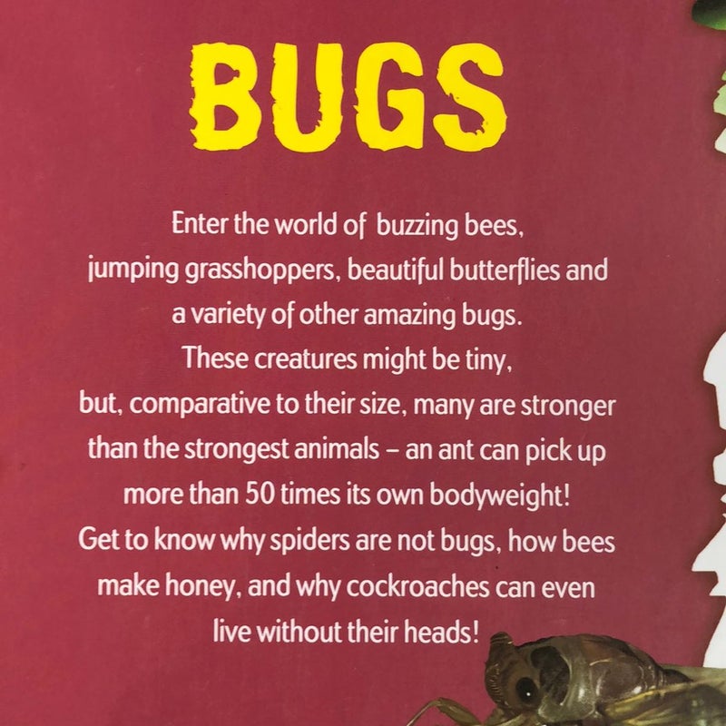 Discover Bugs