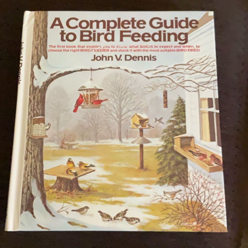 A Complete Guide to Bird Feeding