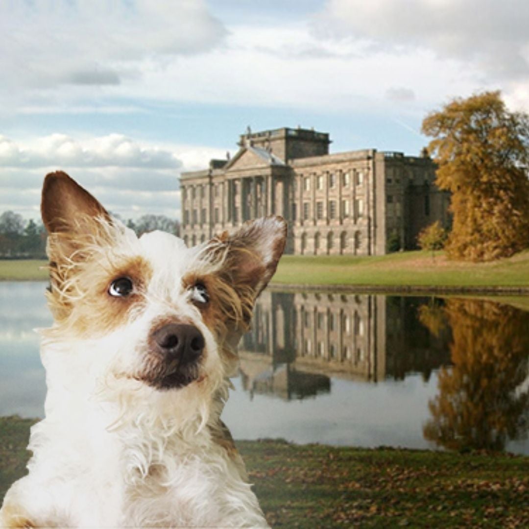 Pemberley Books