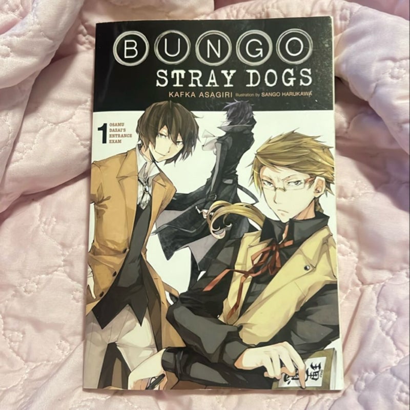 Bungo Stray Dogs, Vol. 1 (light Novel)