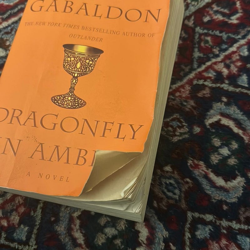 Dragonfly in Amber