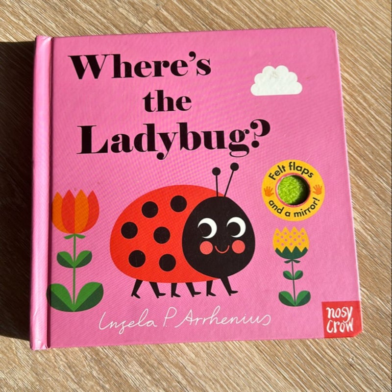 Where's the Ladybug?