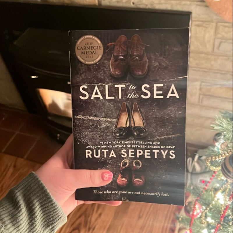 Salt to the Sea