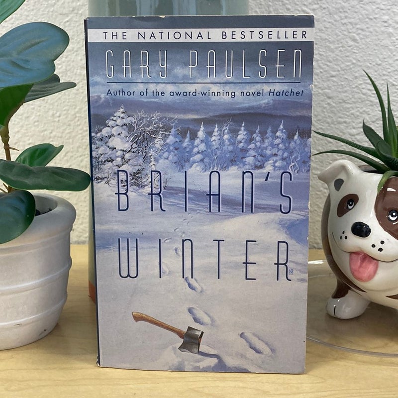 Brian's Winter