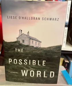 The Possible World