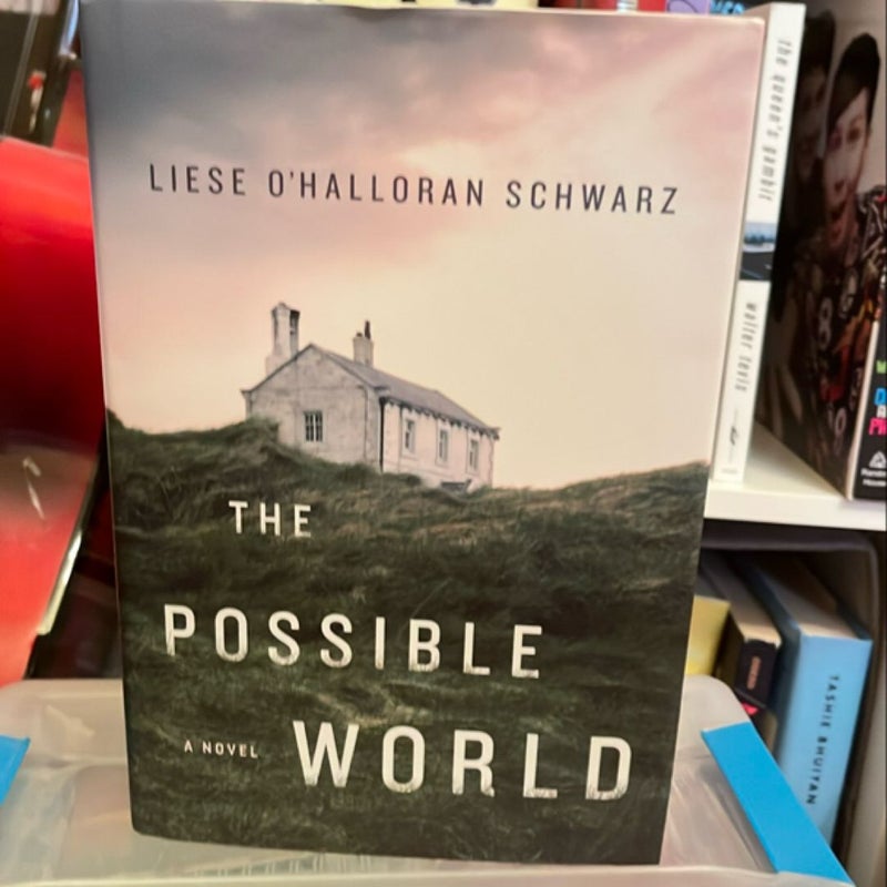 The Possible World