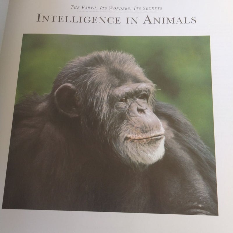 Intelligence In Animals