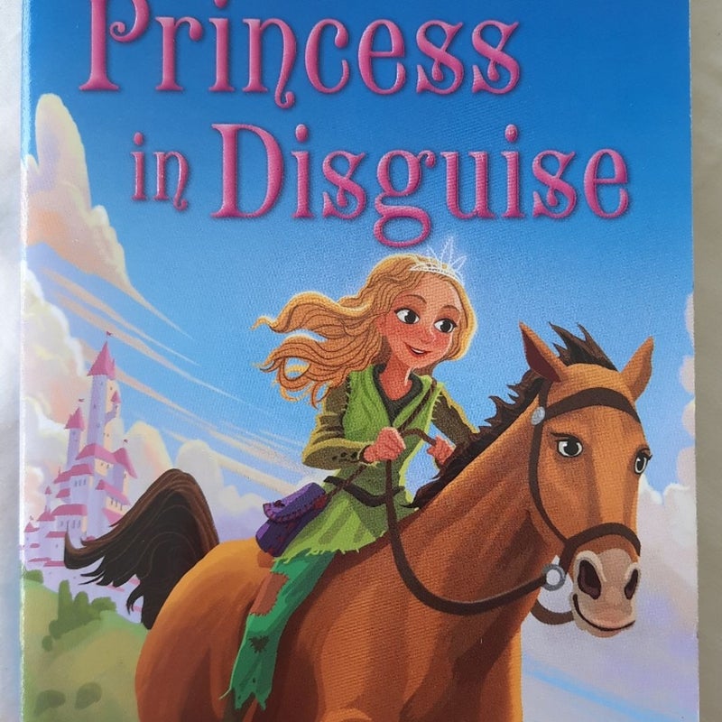 Princess in Disguise: a tale of the wide awake princess