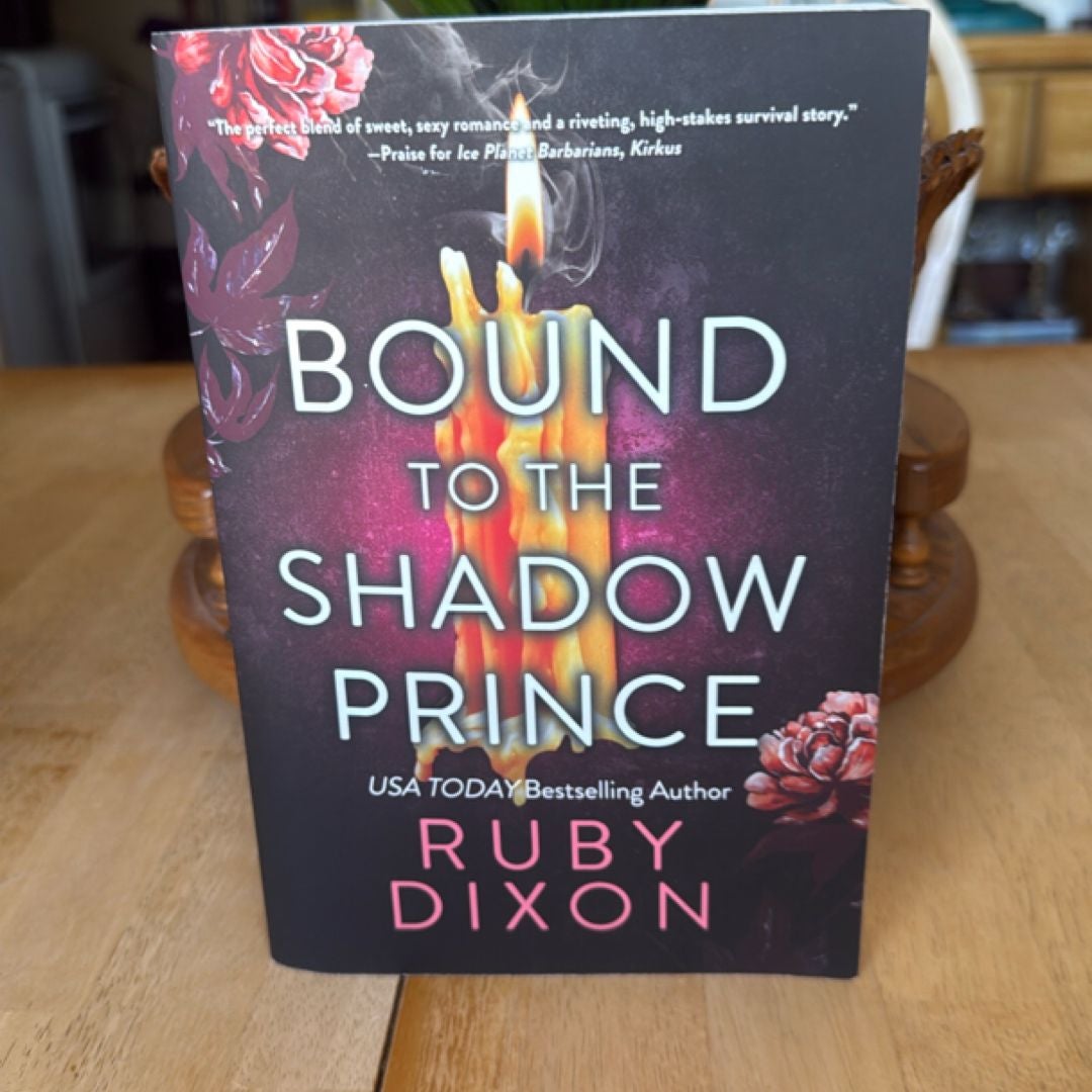 Bound to the Shadow Prince