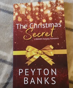 the Christmas Secret