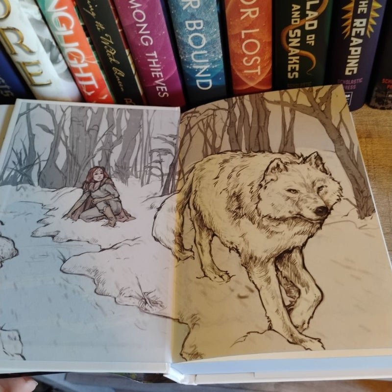 Omen of Ice (OwlCrate)