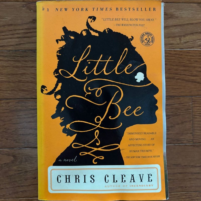 Little Bee