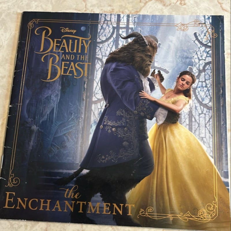 Beauty and the Beast bundle of 2 books