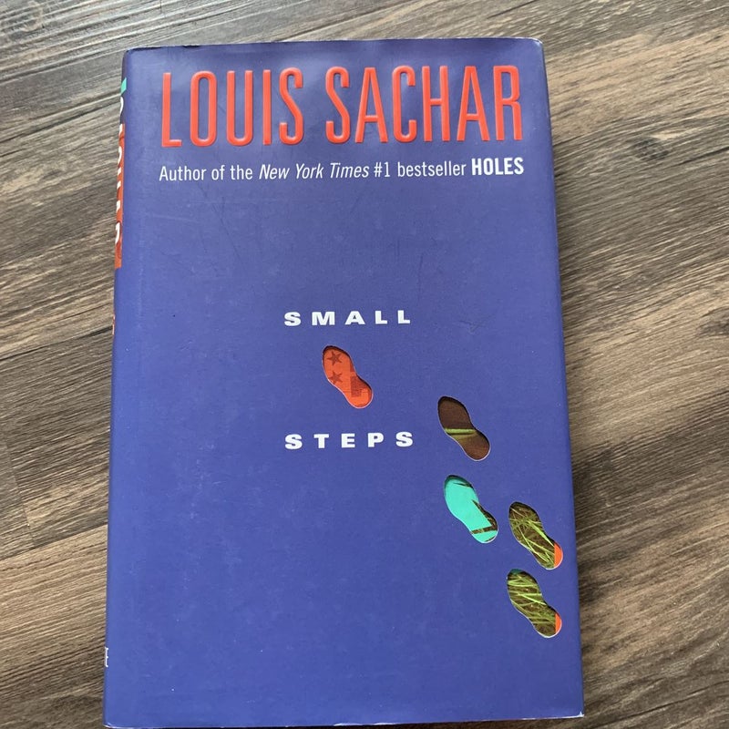 Small steps - Sachar, Louis 