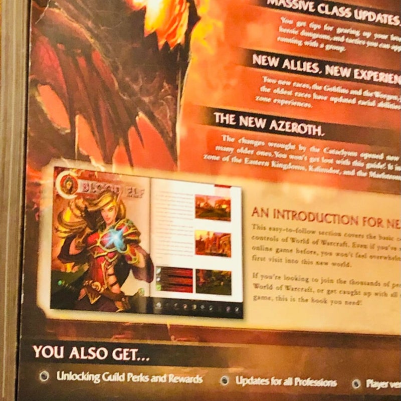 World of WARCRAFT: Cataclysm edition 2010 Gaming retro vintage book