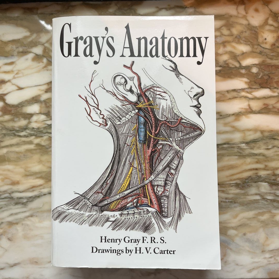 Gray's Anatomy