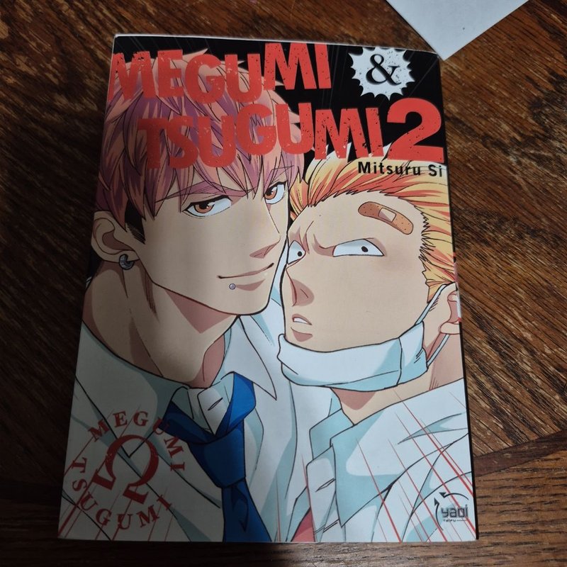 Megumi and Tsugumi vol 2(spanish)