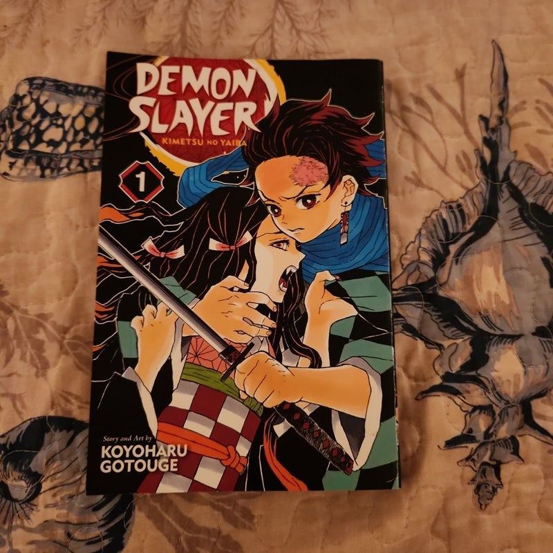 Demon Slayer: Kimetsu No Yaiba, Vol. 1