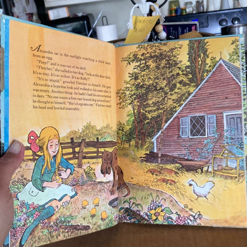 How Fletcher Was Hatched! (VINTAGE 1969)