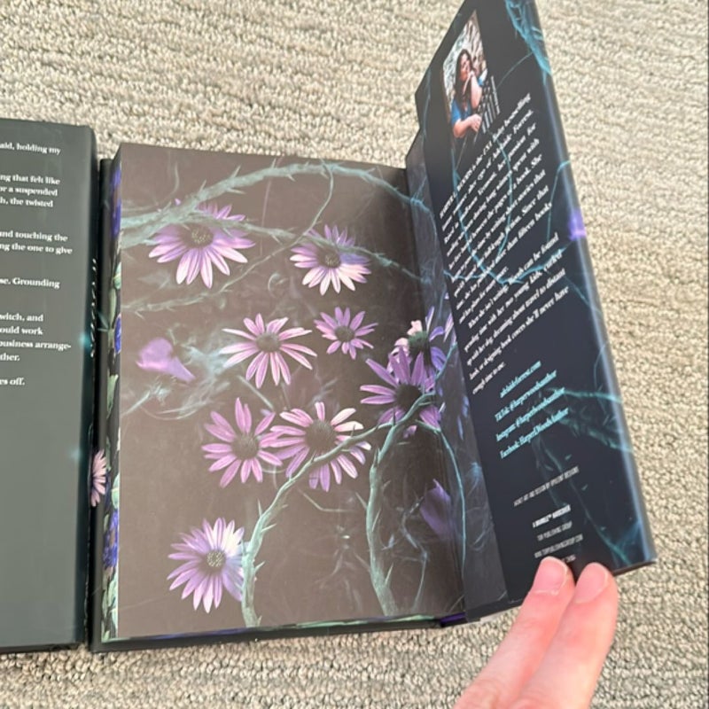 The Coven & The Cursed (First Edition)