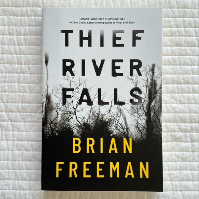 Thief River Falls