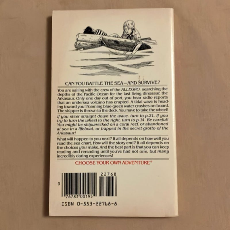 Choose Your Own Adventure #16: Survival at Sea