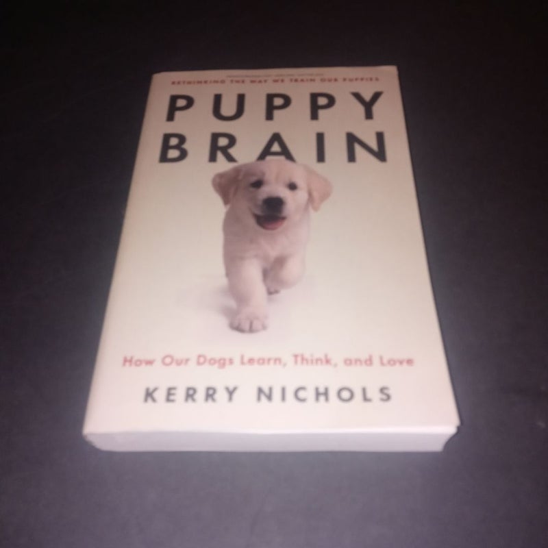 Puppy Brain