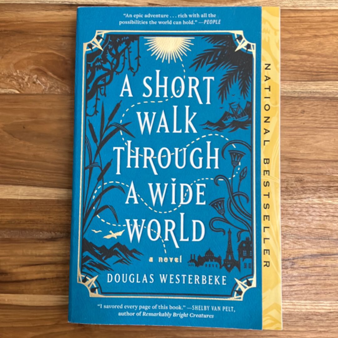 A Short Walk Through a Wide World