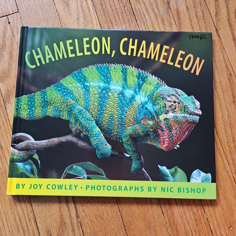 Chameleon Chameleon