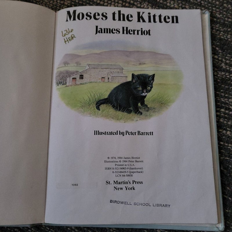 Moses the Kitten 