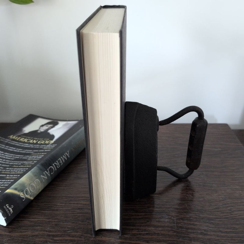 American Gods (1st Edition)
