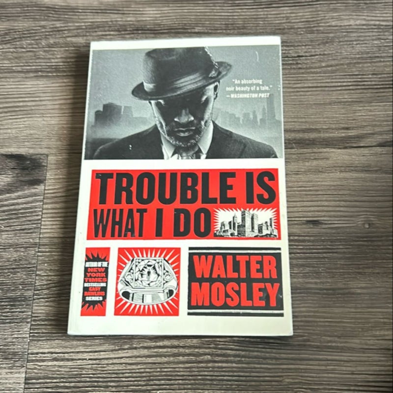 Trouble Is What I Do
