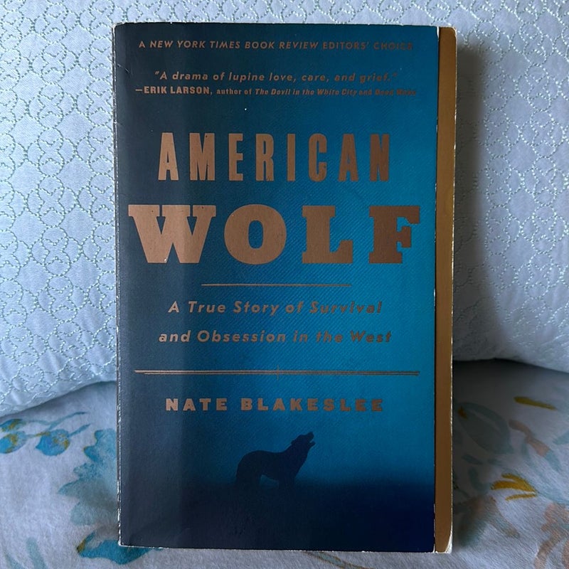 American Wolf