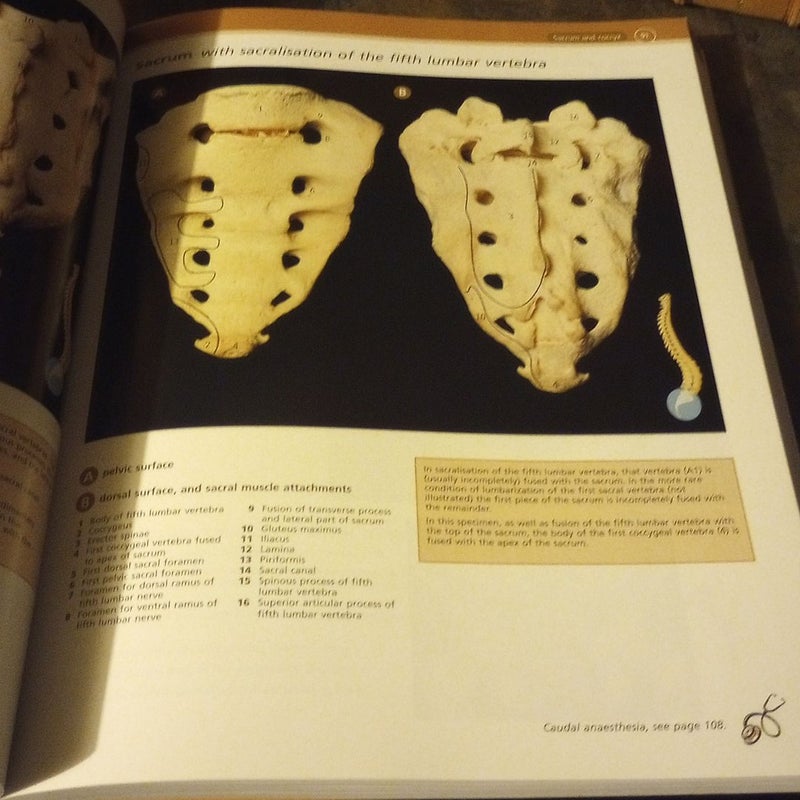 McMinn and Abrahams' Clinical Atlas of Human Anatomy by