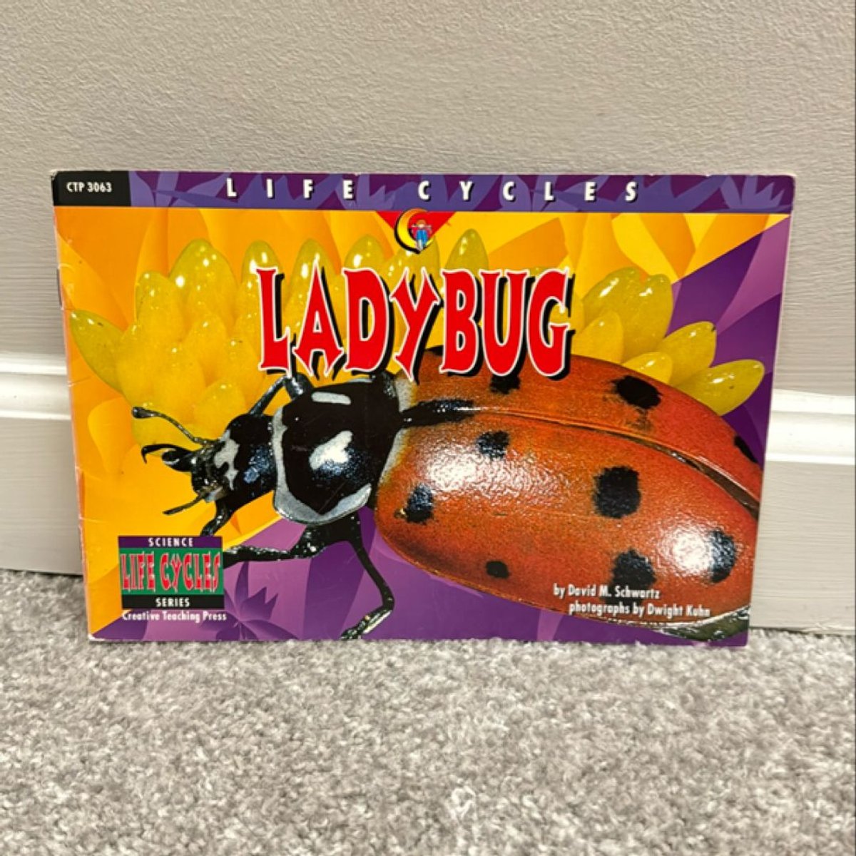 Ladybug by David M. Schwartz, Dwight Kuhn