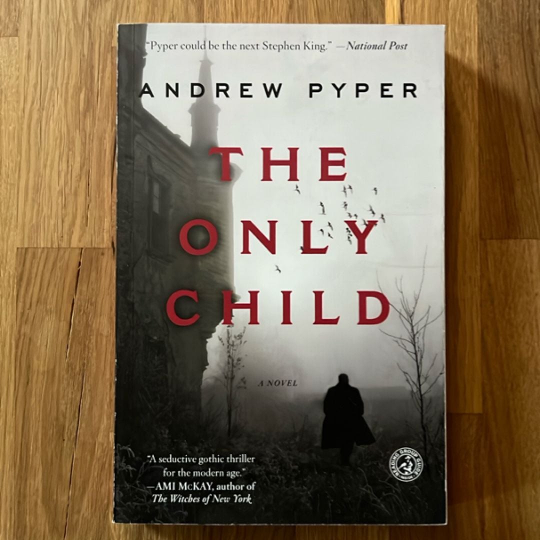 The Only Child by Andrew Pyper, Paperback | Pangobooks