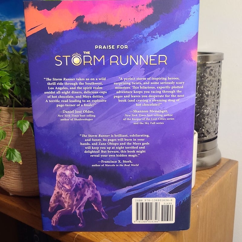 The Storm Runner (a Storm Runner Novel, Book 1)