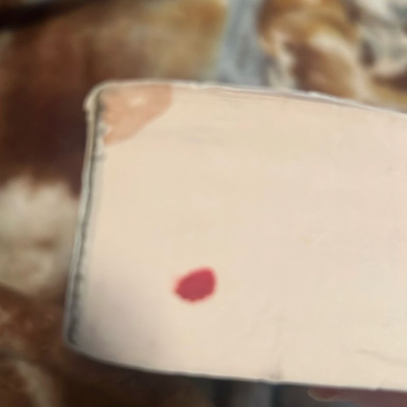 Complete Plays of Aristophanes