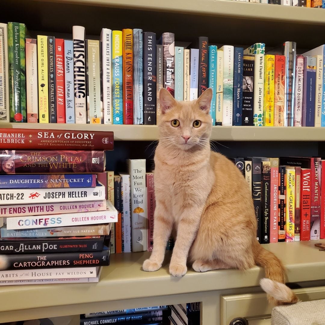 Shop My Shelves