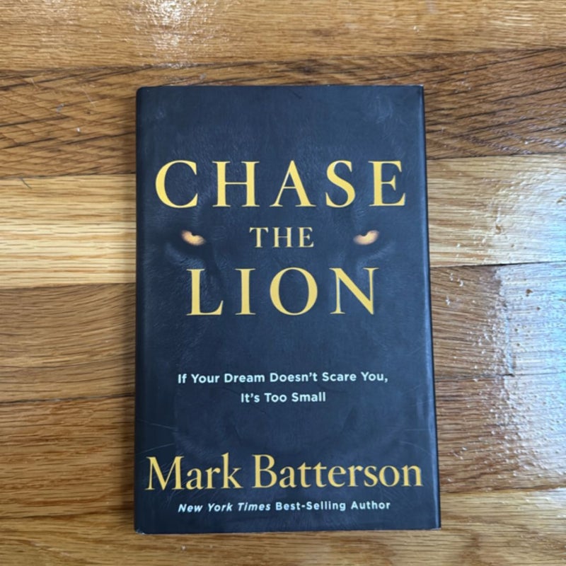 Chase the Lion