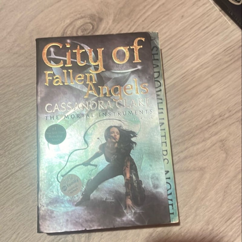 City of Fallen Angels