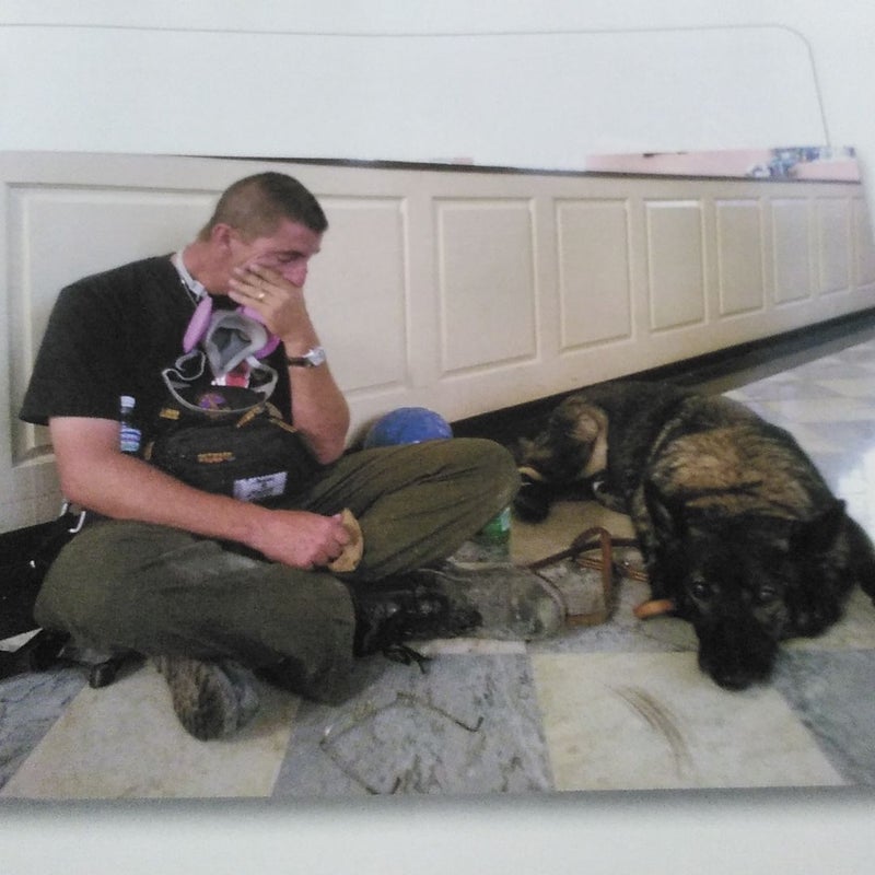 America's Heroes by Sports Publishing Inc, Hardcover Pangobooks