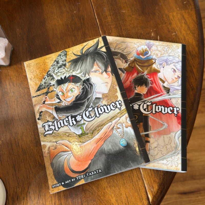 Black Clover, Vol. 2