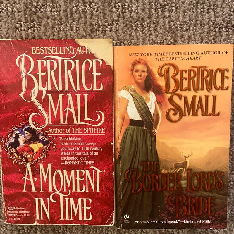 Bertrice Small Novels 