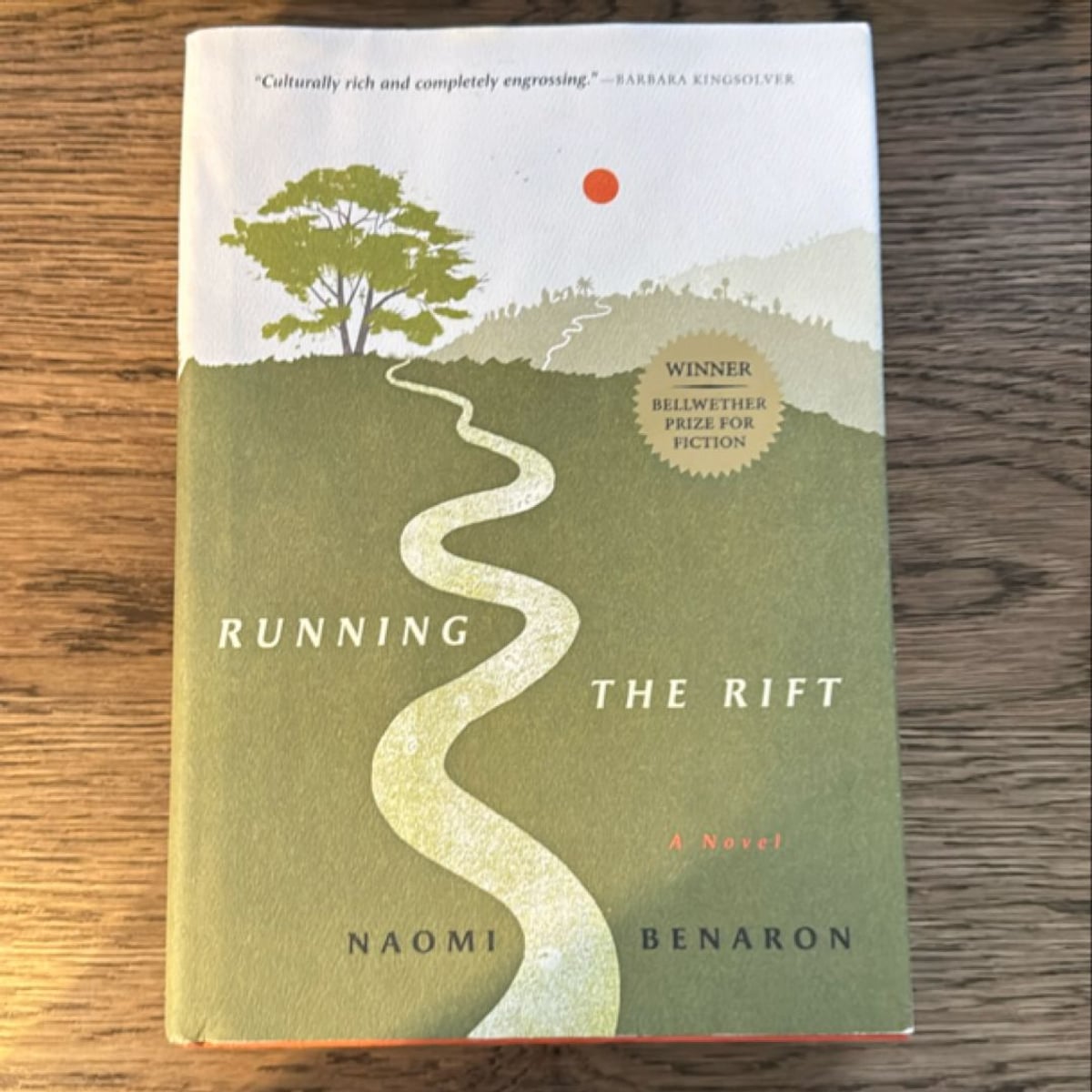 Running the Rift by Naomi Benaron
